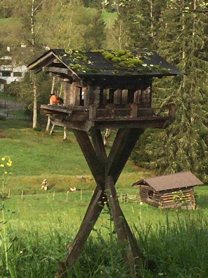 Hof Hintererb Villa Kitzbühel Kültér fotó
