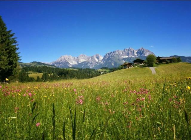Hof Hintererb Villa Kitzbühel Kültér fotó
